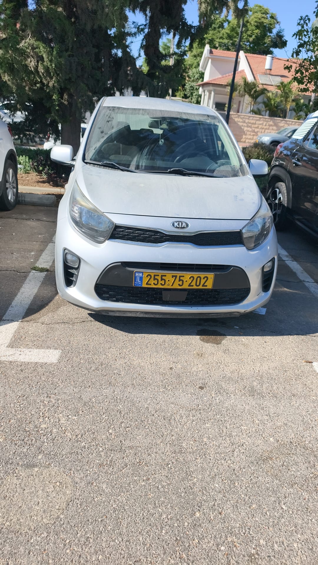 קיה פיקנטו 2020 - תמונה 2
