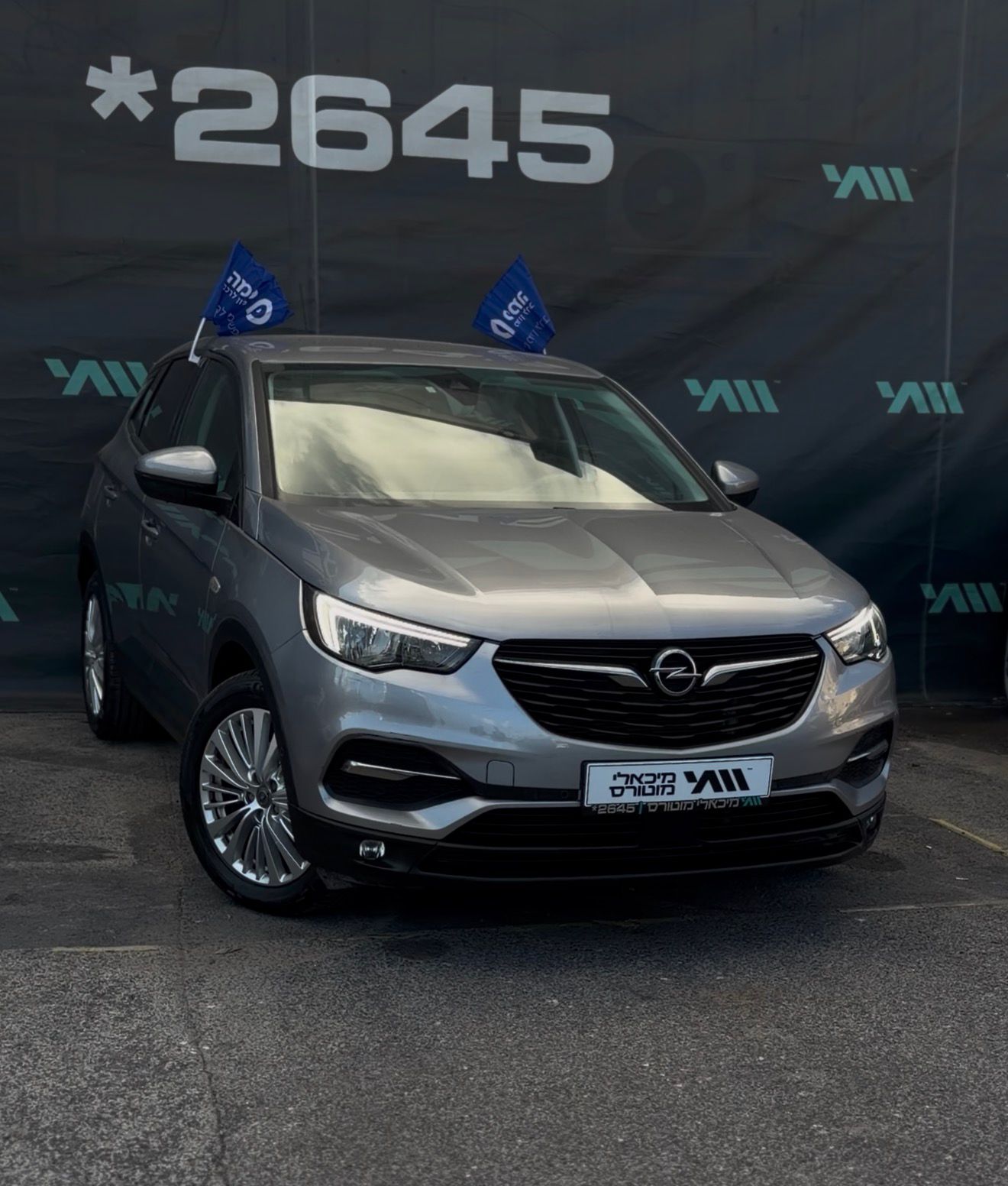 אופל GRANDLAND X 2020 - תמונה 4