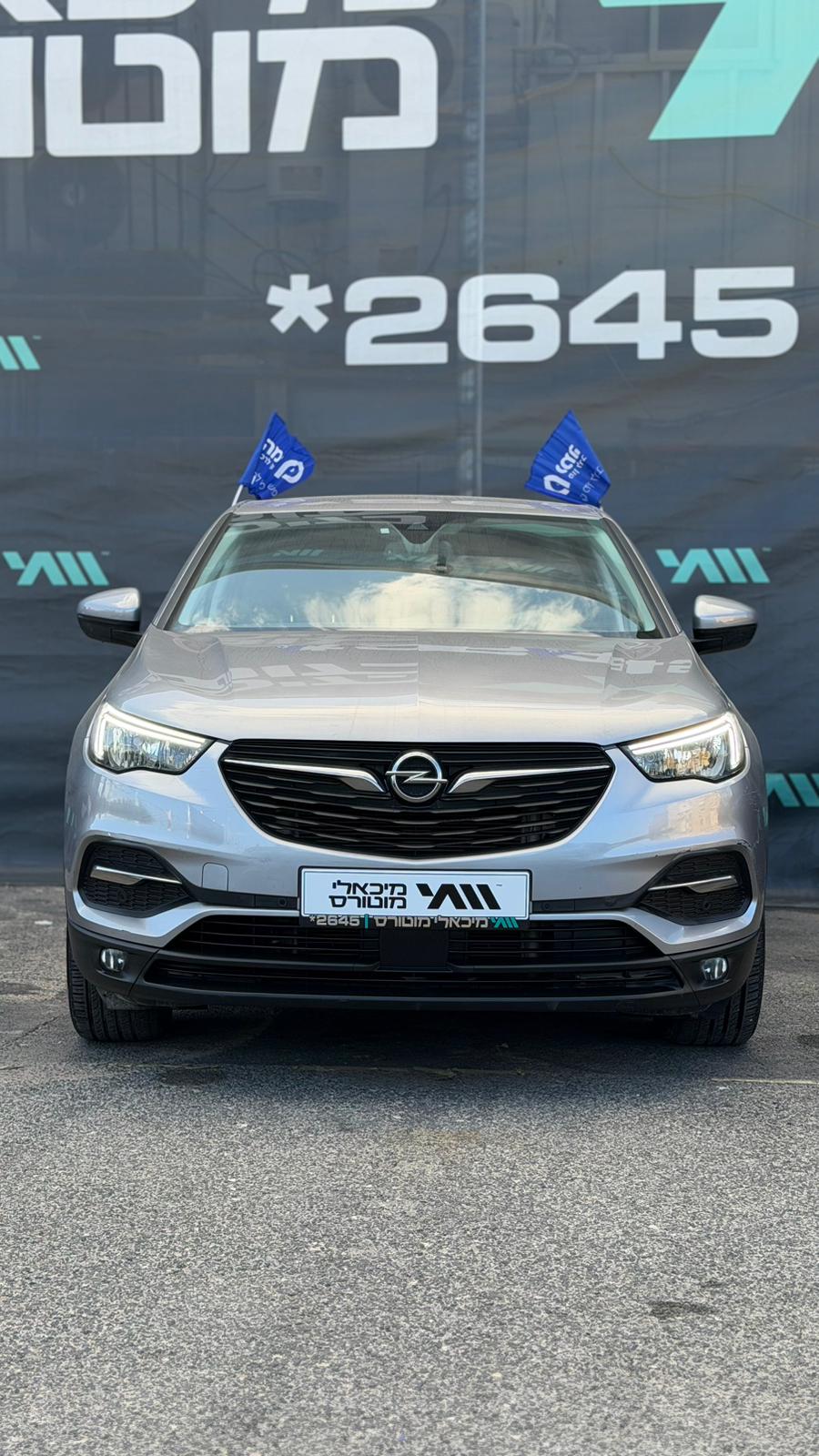 אופל גרנדלנד GRANDLAND X 2020 - תמונה 2