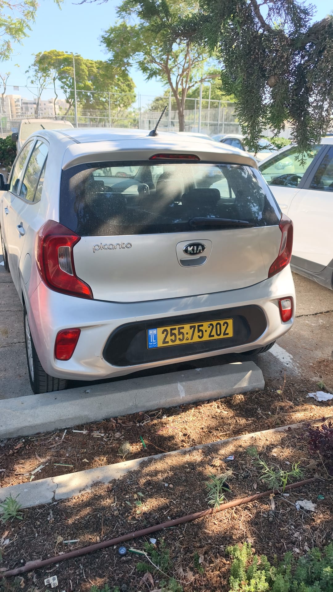 קיה פיקנטו 2020 - תמונה 3
