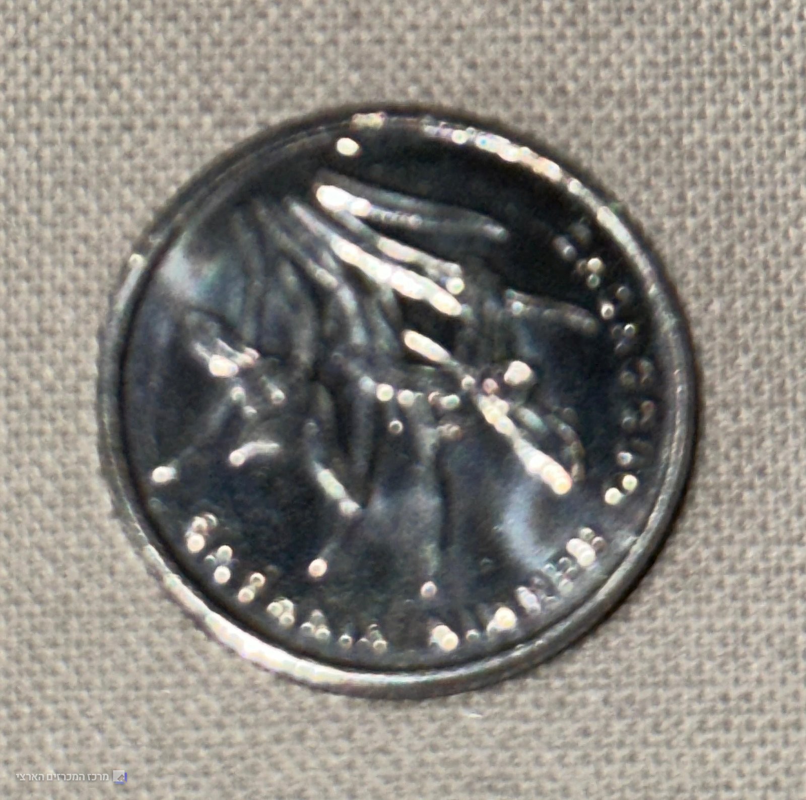 סין, ג׳יאו אחד 2008, סחלב - תמונה 2