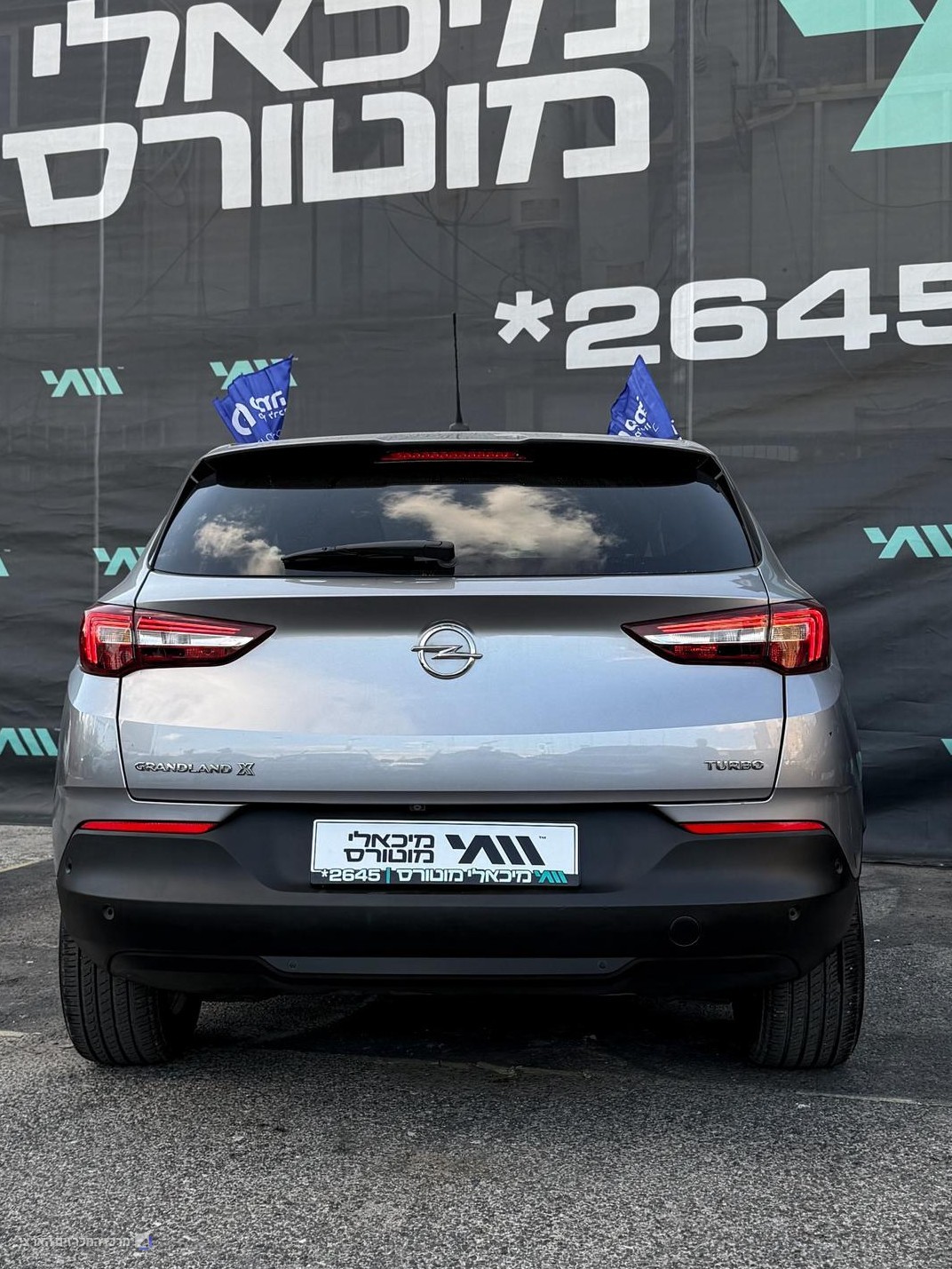אופל גרנדלנד GRANDLAND X 2020 - תמונה 1