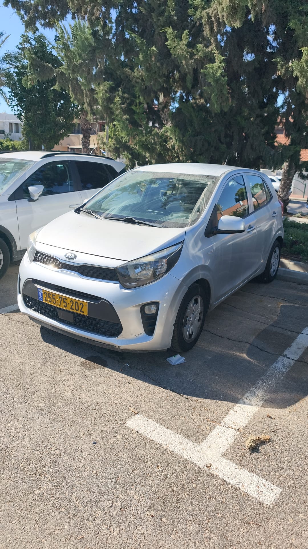 קיה פיקנטו 2020 - תמונה 1