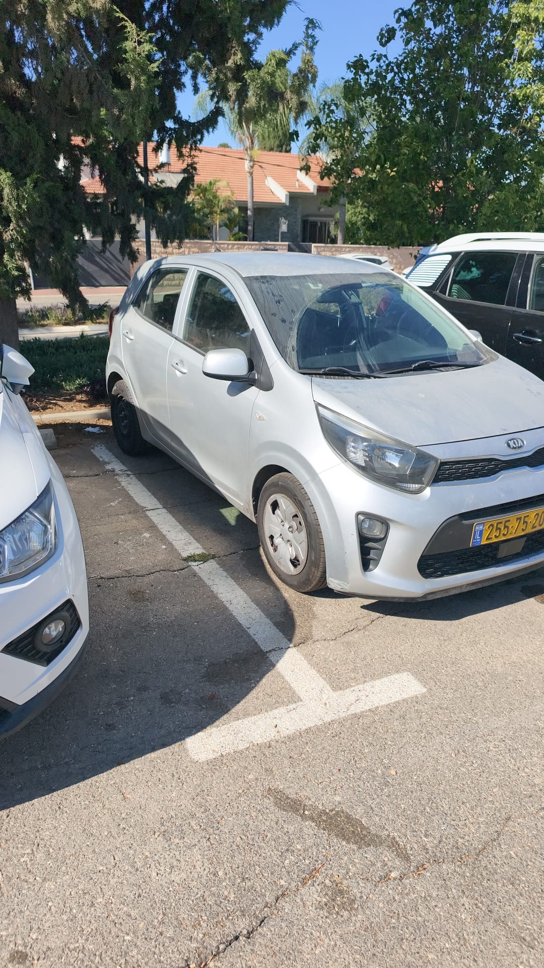 קיה פיקנטו 2020 - תמונה 4